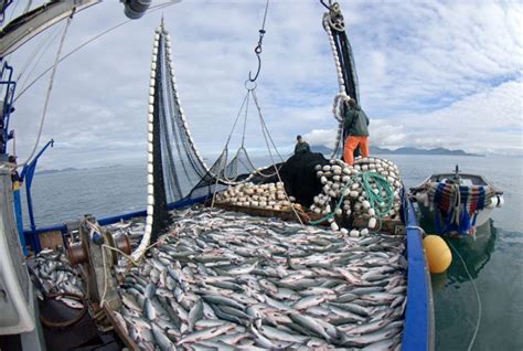Alasca a pesca de slots grátis